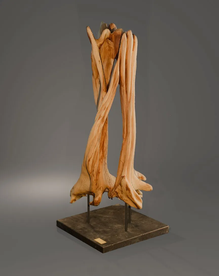 Апалы-сіңлілер - View 1